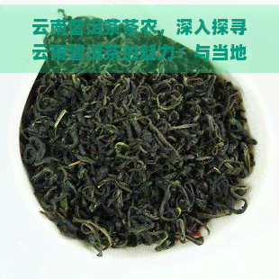 云南普洱茶茶农，深入探寻云南普洱茶的魅力：与当地茶农的对话