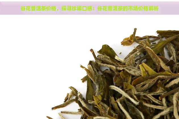 谷花普洱茶价格，探寻珍稀口感：谷花普洱茶的市场价格解析