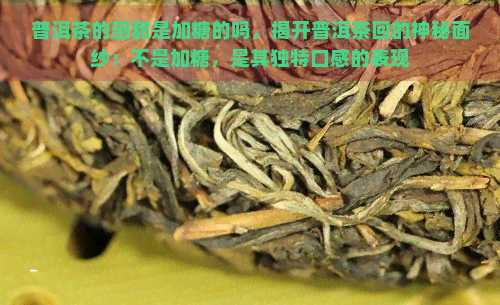 普洱茶的回甜是加糖的吗，揭开普洱茶回的神秘面纱：不是加糖，是其独特口感的表现