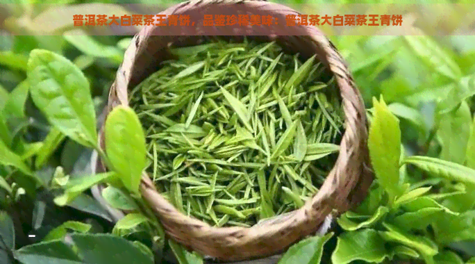 普洱茶大白菜茶王青饼，品鉴珍稀美味：普洱茶大白菜茶王青饼