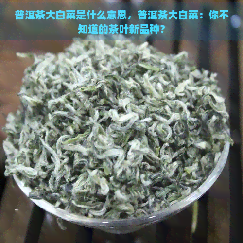 普洱茶大白菜是什么意思，普洱茶大白菜：你不知道的茶叶新品种？