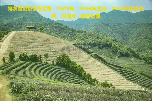 博友普洱茶价格全览：2008年、2006年生茶、2007年春节念茶，附图片，来自勐海