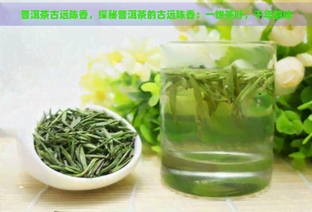 普洱茶古远陈香，探秘普洱茶的古远陈香：一饼茶叶，千年韵味