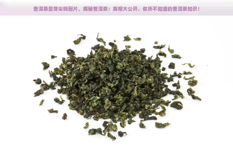 普洱茶是芽尖吗图片，揭秘普洱茶：真相大公开，你所不知道的普洱茶知识！