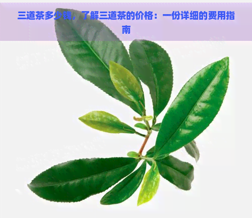 三道茶多少钱，了解三道茶的价格：一份详细的费用指南