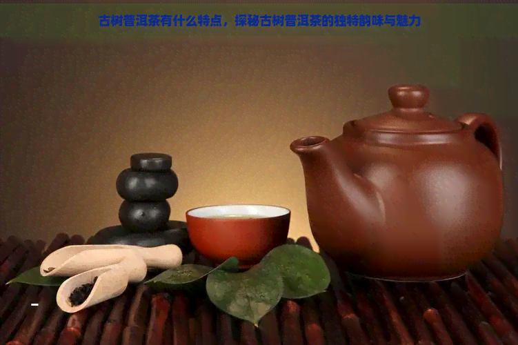 古树普洱茶有什么特点，探秘古树普洱茶的独特韵味与魅力