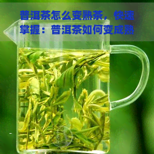 普洱茶怎么变熟茶，快速掌握：普洱茶如何变成熟茶？