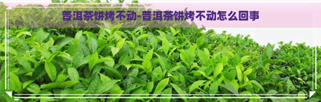 普洱茶饼烤不动-普洱茶饼烤不动怎么回事