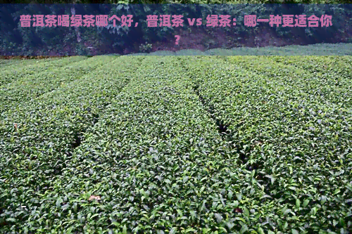 普洱茶喝绿茶哪个好，普洱茶 vs 绿茶：哪一种更适合你？