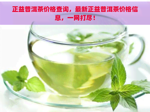 正益普洱茶价格查询，最新正益普洱茶价格信息，一网打尽！