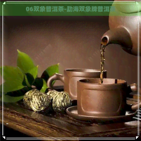 06双象普洱茶-勐海双象牌普洱茶