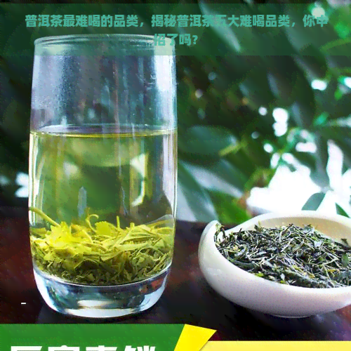 普洱茶最难喝的品类，揭秘普洱茶五大难喝品类，你中招了吗？