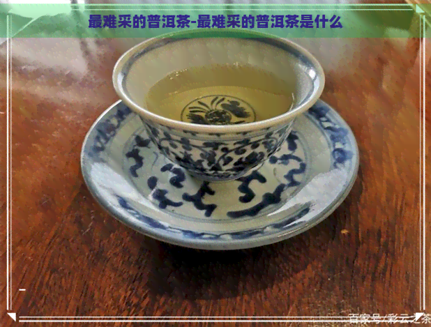 最难采的普洱茶-最难采的普洱茶是什么