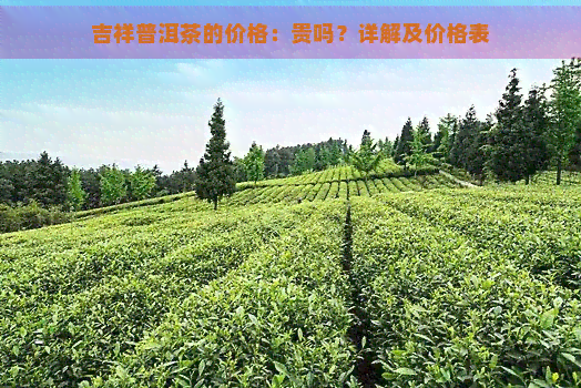 吉祥普洱茶的价格：贵吗？详解及价格表