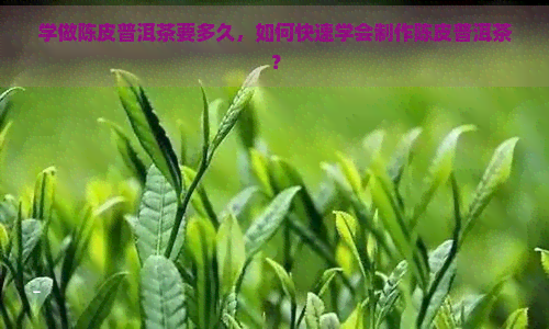 学做陈皮普洱茶要多久，如何快速学会制作陈皮普洱茶？