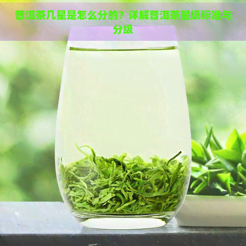 普洱茶几星是怎么分的？详解普洱茶星级标准与分级