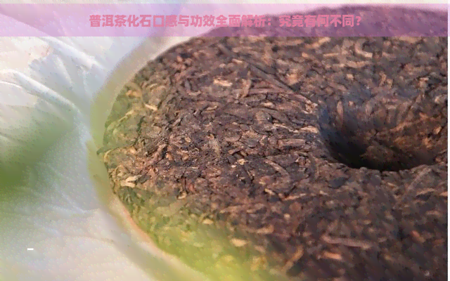 普洱茶化石口感与功效全面解析：究竟有何不同？