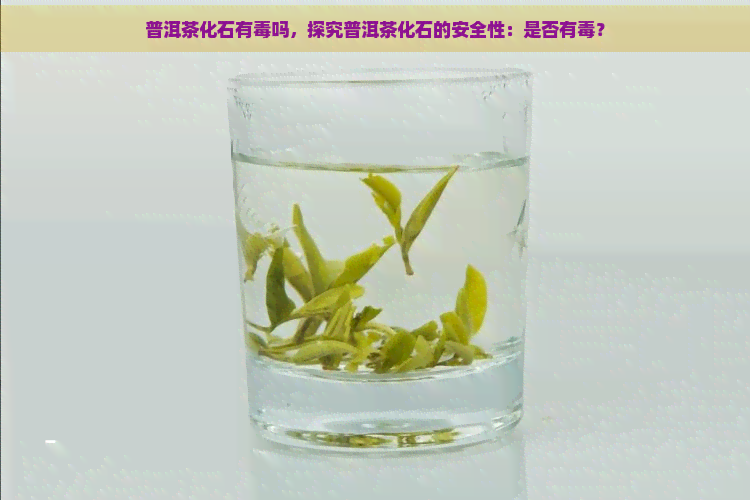 普洱茶化石有吗，探究普洱茶化石的安全性：是否有？