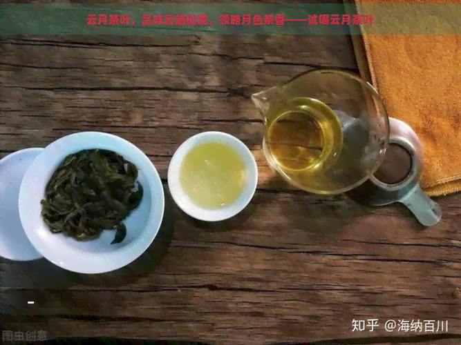 云月茶叶，品味云端仙境，领略月色茶香——试喝云月茶叶