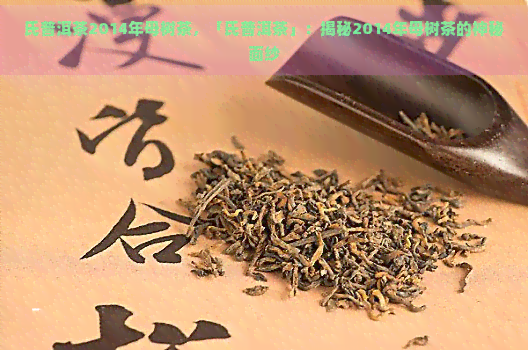 氏普洱茶2014年母树茶，「氏普洱茶」：揭秘2014年母树茶的神秘面纱