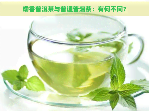 糯香普洱茶与普通普洱茶：有何不同？