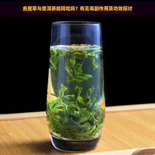 鱼腥草与普洱茶能同吃吗？有无副作用及功效探讨