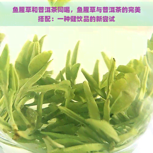 鱼腥草和普洱茶同喝，鱼腥草与普洱茶的完美搭配：一种健饮品的新尝试