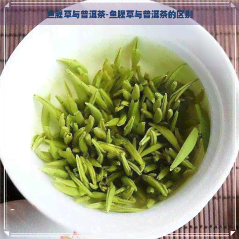 鱼腥草与普洱茶-鱼腥草与普洱茶的区别