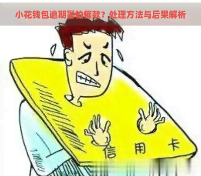 小花钱包逾期害怕催款？处理方法与后果解析