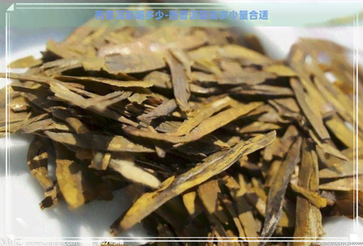 熟普洱茶喝多少-熟普洱茶喝多少量合适