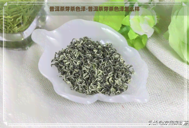 普洱茶芽茶色泽-普洱茶芽茶色泽怎么样