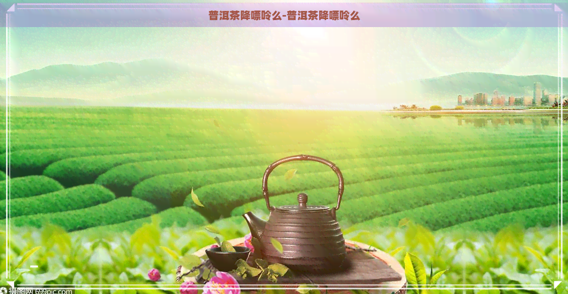 普洱茶降嘌呤么-普洱茶降嘌呤么