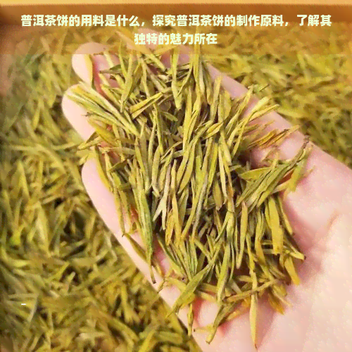 普洱茶饼的用料是什么，探究普洱茶饼的制作原料，了解其独特的魅力所在