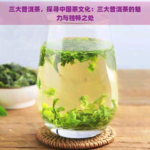 三大普洱茶，探寻中国茶文化：三大普洱茶的魅力与独特之处