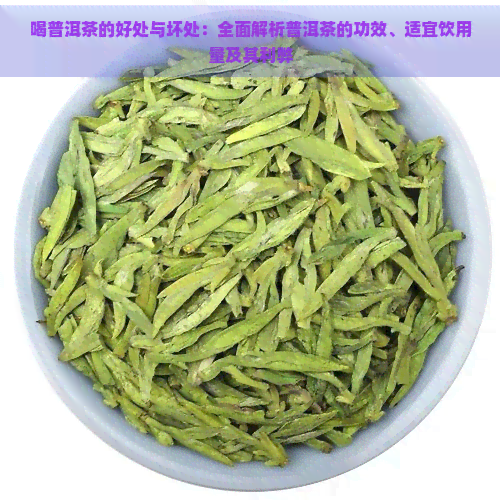 喝普洱茶的好处与坏处：全面解析普洱茶的功效、适宜饮用量及其利弊