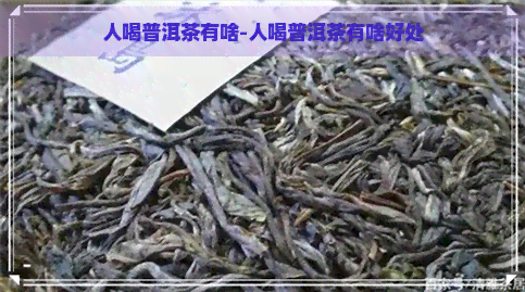 人喝普洱茶有啥-人喝普洱茶有啥好处