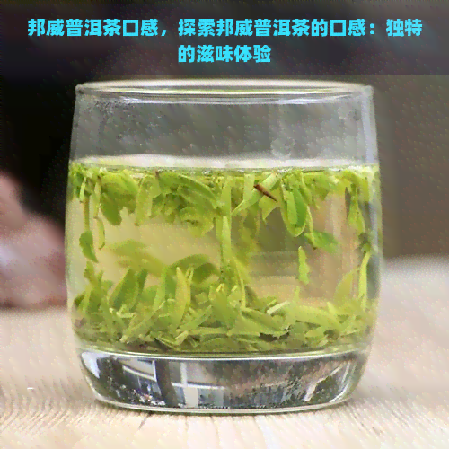 邦威普洱茶口感，探索邦威普洱茶的口感：独特的滋味体验