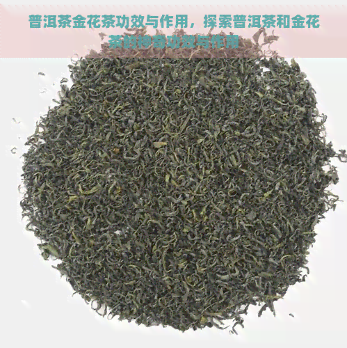 普洱茶金花茶功效与作用，探索普洱茶和金花茶的神奇功效与作用