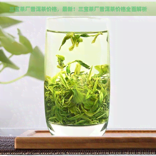 三宝茶厂普洱茶价格，最新！三宝茶厂普洱茶价格全面解析