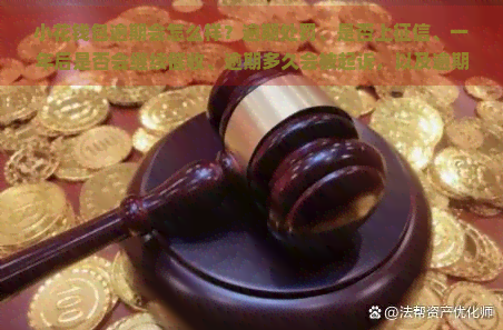 小花钱包逾期会怎么样？逾期处罚、是否上、一年后是否会继续、逾期多久会被起诉，以及逾期后是否还能再次借款。