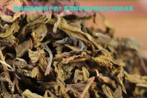 普洱茶哪些年份产的？深度解析茶叶陈化与口感的关系