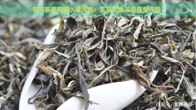 普洱茶里有细小漂浮物：正常现象还是质量问题？