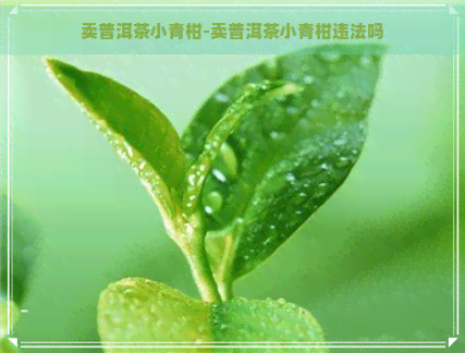 卖普洱茶小青柑-卖普洱茶小青柑违法吗