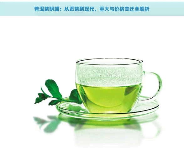 普洱茶明朝：从贡茶到现代，重大与价格变迁全解析