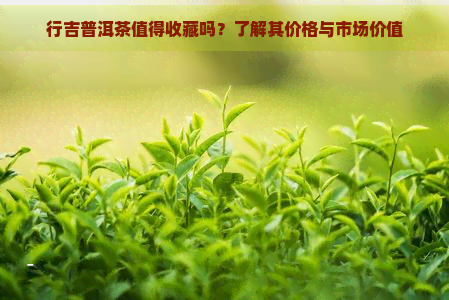 行吉普洱茶值得收藏吗？了解其价格与市场价值