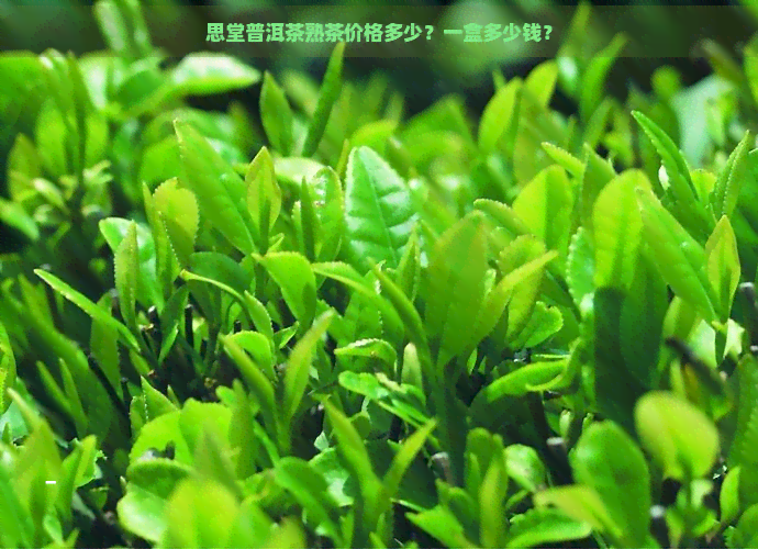 思堂普洱茶熟茶价格多少？一盒多少钱？