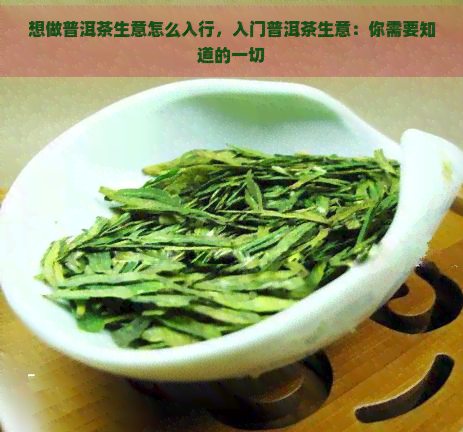 想做普洱茶生意怎么入行，入门普洱茶生意：你需要知道的一切