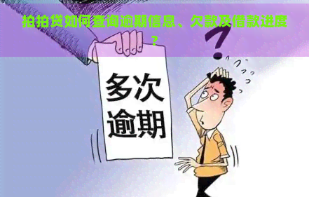 如何查询逾期信息、欠款及借款进度?