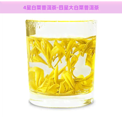 4星白菜普洱茶-四星大白菜普洱茶