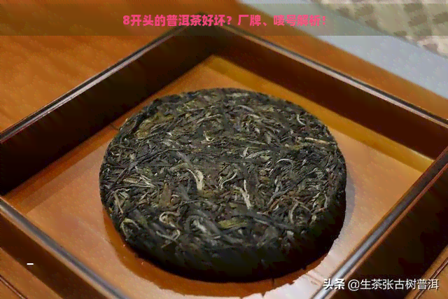 8开头的普洱茶好坏？厂牌、唛号解析！